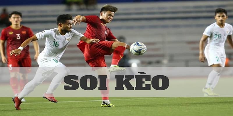 Trang web hỗ trợ soi kèo giải đấu EFL Championship